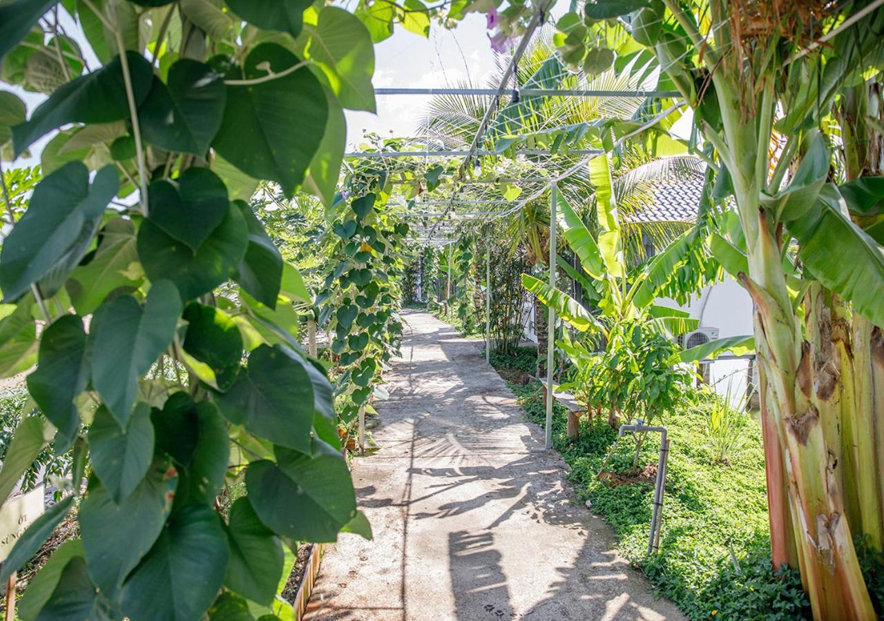 Lua Farmstay Bà Rịa Exterior foto